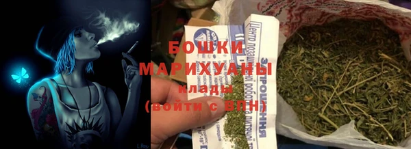 ГАЛЛЮЦИНОГЕННЫЕ ГРИБЫ Белокуриха