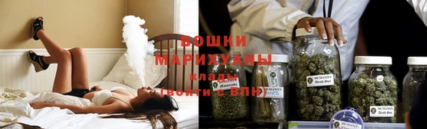 ГАЛЛЮЦИНОГЕННЫЕ ГРИБЫ Белокуриха