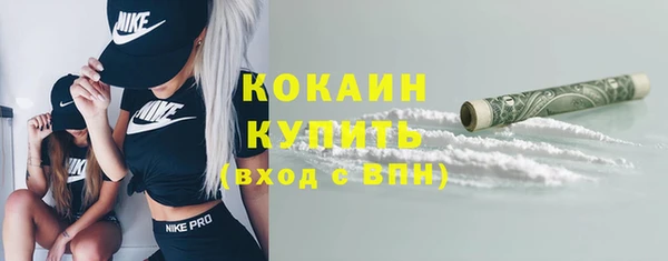 ГАЛЛЮЦИНОГЕННЫЕ ГРИБЫ Белокуриха