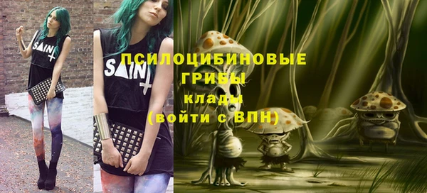 apvp Беломорск