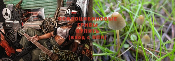 ГАЛЛЮЦИНОГЕННЫЕ ГРИБЫ Белокуриха