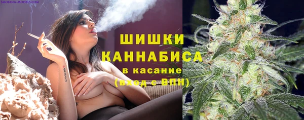 ГАЛЛЮЦИНОГЕННЫЕ ГРИБЫ Белокуриха